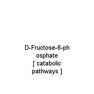 D-Fructose-6-phosphate             [ catabolic pathways ]